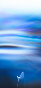 Wallpapers - Pack 01